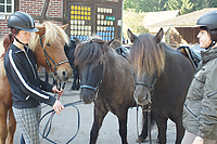 Heidebluetenritt-Islaenderhof-03902.jpg