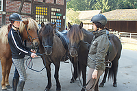 Heidebluetenritt-Islaenderhof-03903.jpg