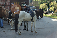 Heidebluetenritt-Islaenderhof-03955.jpg