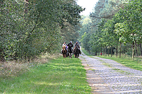 Heidebluetenritt-Islaenderhof-6220.jpg