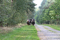 Heidebluetenritt-Islaenderhof-6222.jpg