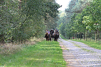 Heidebluetenritt-Islaenderhof-6225.jpg