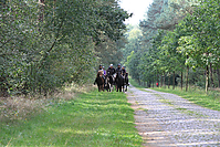 Heidebluetenritt-Islaenderhof-6228.jpg