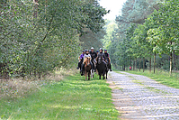 Heidebluetenritt-Islaenderhof-6250.jpg