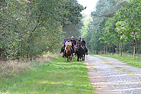 Heidebluetenritt-Islaenderhof-6251.jpg