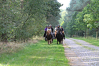 Heidebluetenritt-Islaenderhof-6260.jpg