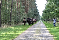 Heidebluetenritt-Islaenderhof-6272.jpg