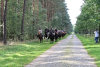 Heidebluetenritt-Islaenderhof-6276.jpg