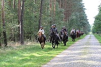 Heidebluetenritt-Islaenderhof-6283.jpg