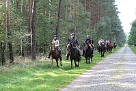 Heidebluetenritt-Islaenderhof-6285.jpg