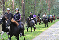 Heidebluetenritt-Islaenderhof-6302.jpg