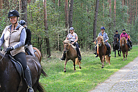 Heidebluetenritt-Islaenderhof-6315.jpg