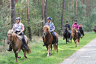 Heidebluetenritt-Islaenderhof-6318.jpg