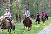 Heidebluetenritt-Islaenderhof-6320.jpg