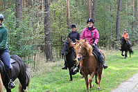 Heidebluetenritt-Islaenderhof-6327.jpg