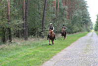 Heidebluetenritt-Islaenderhof-6328.jpg