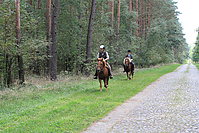 Heidebluetenritt-Islaenderhof-6329.jpg