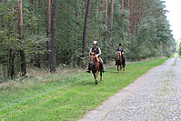 Heidebluetenritt-Islaenderhof-6330.jpg