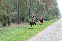 Heidebluetenritt-Islaenderhof-6331.jpg