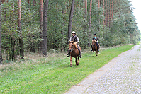 Heidebluetenritt-Islaenderhof-6332.jpg