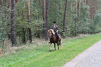 Heidebluetenritt-Islaenderhof-6336.jpg