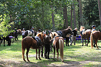 Heidebluetenritt-Islaenderhof-6339.jpg