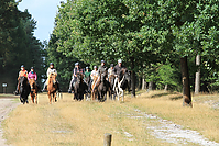 Heidebluetenritt-Islaenderhof-6382.jpg