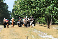 Heidebluetenritt-Islaenderhof-6385.jpg