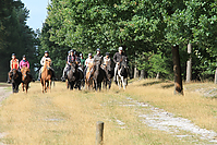 Heidebluetenritt-Islaenderhof-6387.jpg