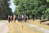 Heidebluetenritt-Islaenderhof-6395.jpg