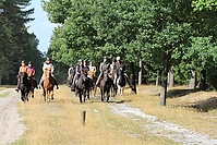 Heidebluetenritt-Islaenderhof-6400.jpg