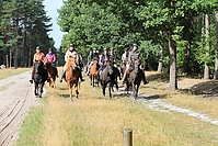 Heidebluetenritt-Islaenderhof-6423.jpg