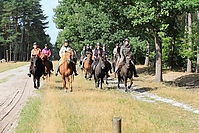 Heidebluetenritt-Islaenderhof-6424.jpg