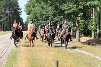 Heidebluetenritt-Islaenderhof-6427.jpg