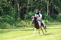 Islandpferde-Sommer-2013-6335.jpg