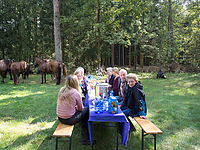 Heidebluetenritt-2014-9140014.jpg