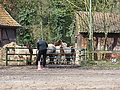 P0000002-Islandfohlen2015-03-07_13-04-20P30720032015-03-07_13-04-207_757_KB.JPG