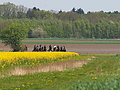 P5035514Maiausritt.JPG