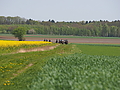 P5035538Maiausritt.JPG