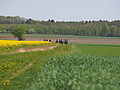 P5035540Maiausritt.JPG