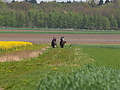 P5035549Maiausritt.JPG