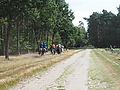 P9110029-Heidebluetenritt.JPG