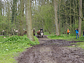 Weideaustrieb-2016-5010373.jpg