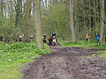 Weideaustrieb-2016-5010376.jpg