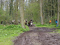 Weideaustrieb-2016-5010377.jpg