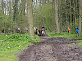 Weideaustrieb-2016-5010378.jpg