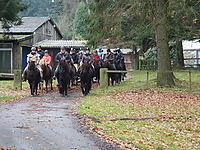 PB120095gruenkohlritt.JPG