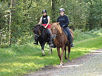 P9100127heidebluetenritt.JPG