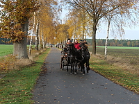 P1001500-gruenkohlritt-18.JPG