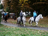 P1011845-gruenkohlritt-18.JPG